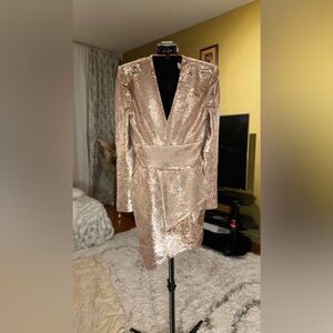 Alexander Vauthier Dress